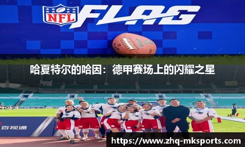 哈夏特尔的哈因：德甲赛场上的闪耀之星
