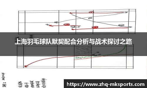 上海羽毛球队默契配合分析与战术探讨之路