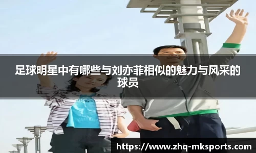 足球明星中有哪些与刘亦菲相似的魅力与风采的球员